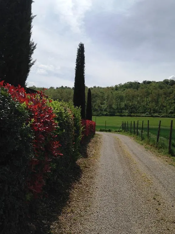 Steccaia Holiday Home Villa del Monte Italy